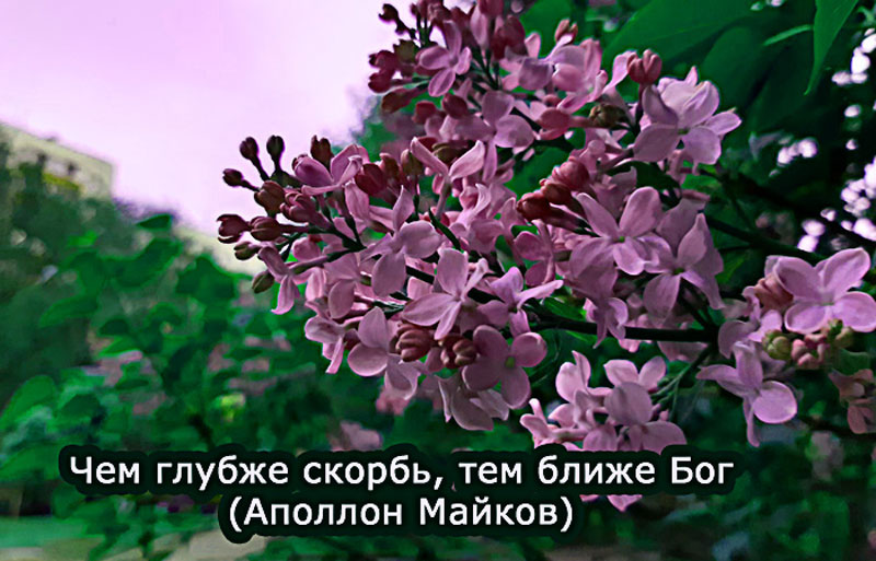 Чем глубже скорбь, тем ближе Бог